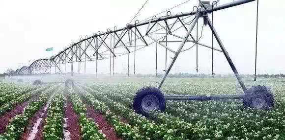 以色列農(nóng)業(yè)技術(shù)開(kāi)發(fā) 如何實(shí)現(xiàn)'一分耕耘，十分收獲'